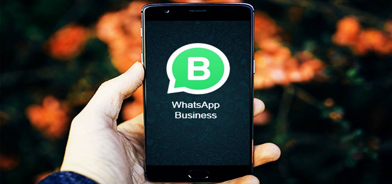 WhatsApp推出android在选择国家的业务应用程序